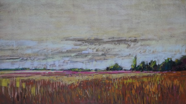 Late Afternoon Light 6