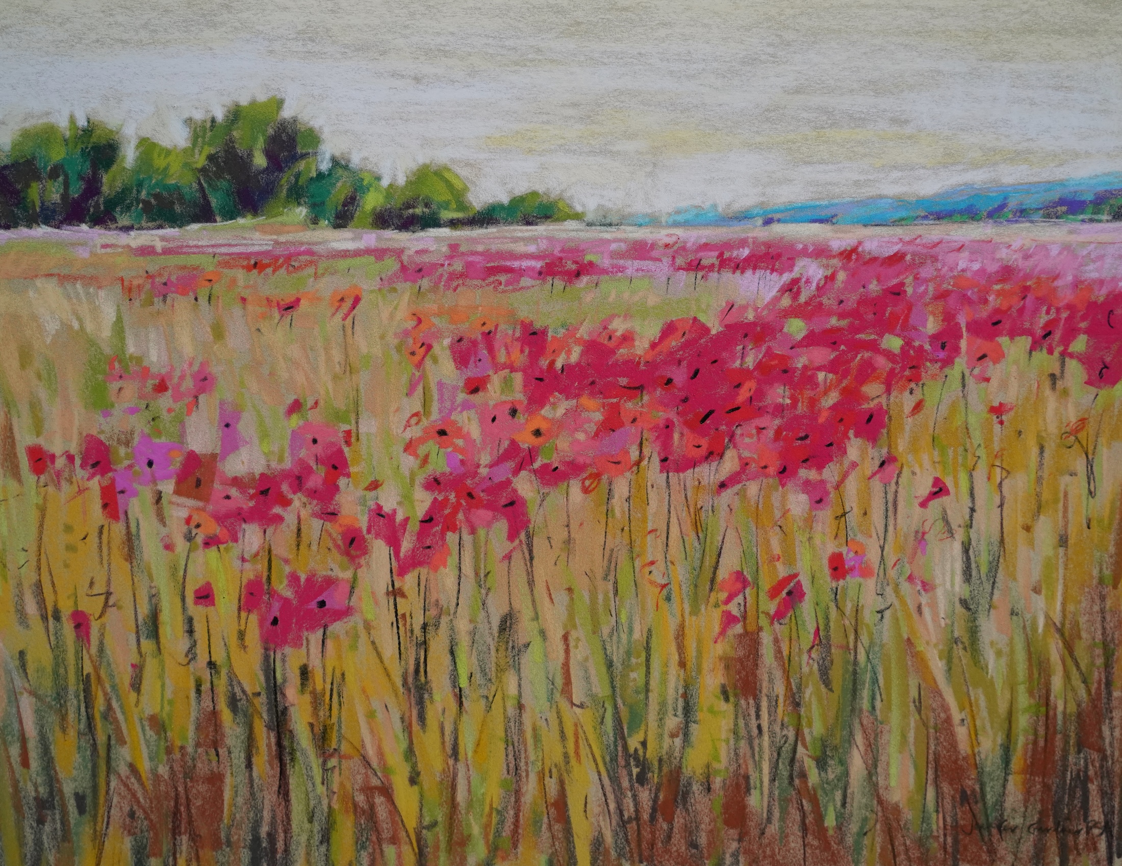 Poppies, France 10
